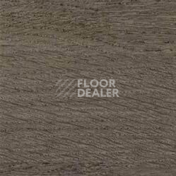 Линолеум Taralay Initial Comfort 0069 Wood Noisette фото 1 | FLOORDEALER